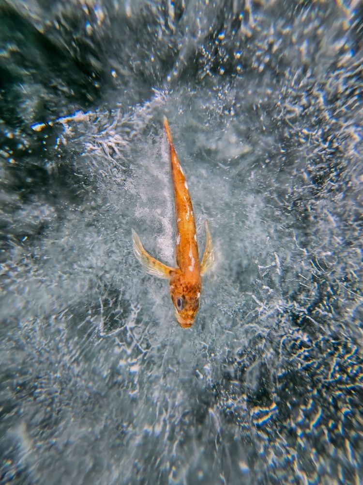 Photograph by Василий Яковлев