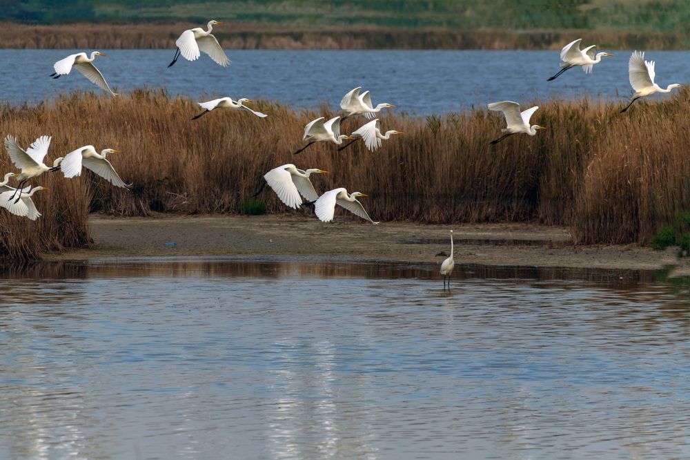 Утро началось - пора на завтрак...