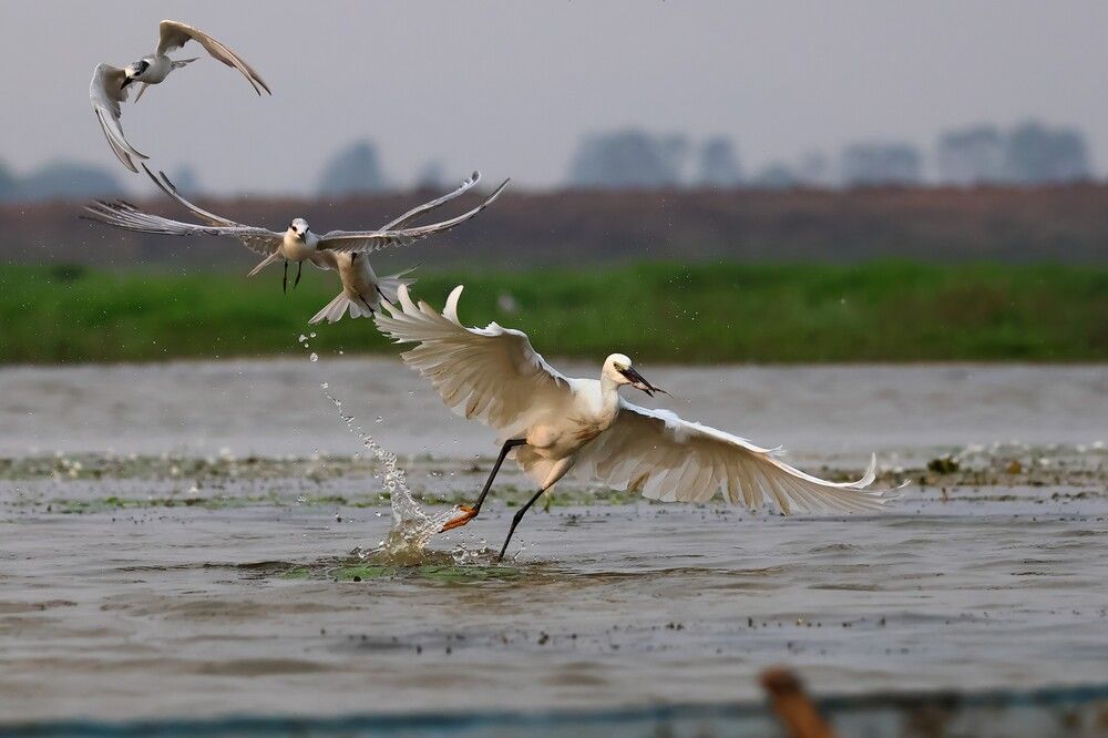 Photograph by AYANENDU DE