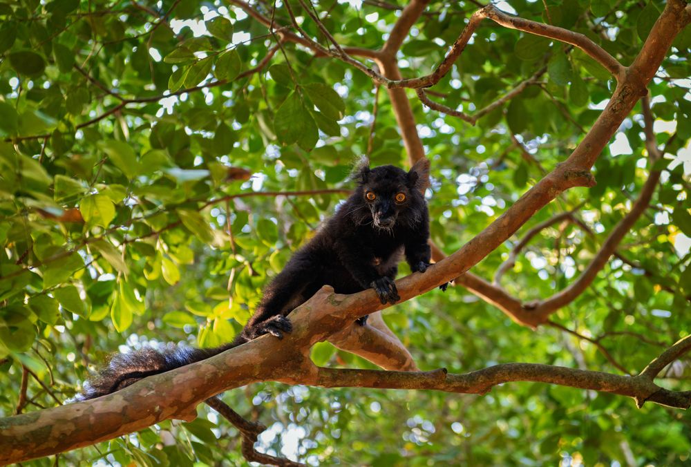 Photograph by Nifiba Suneer