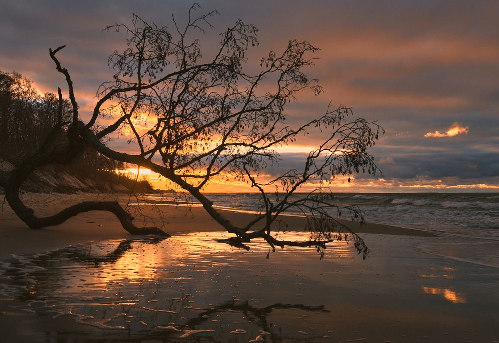 Photograph by Евгений Доз