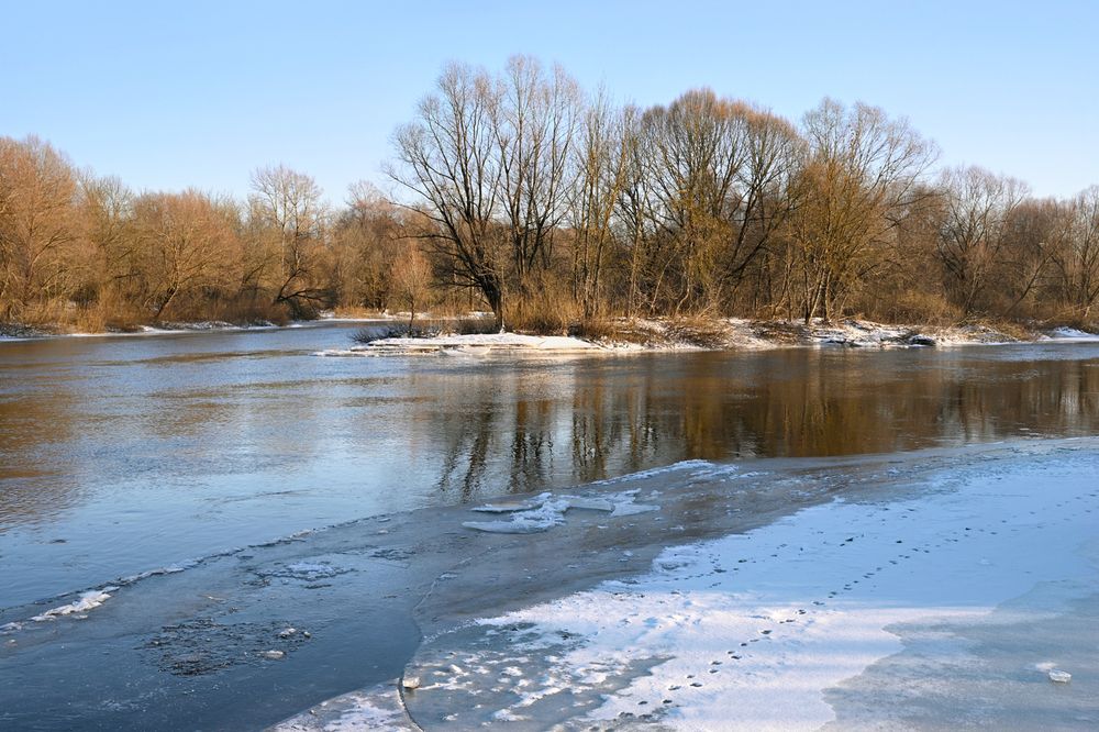 ПРЕДЧУВСТВИЕ ВЕСНЫ