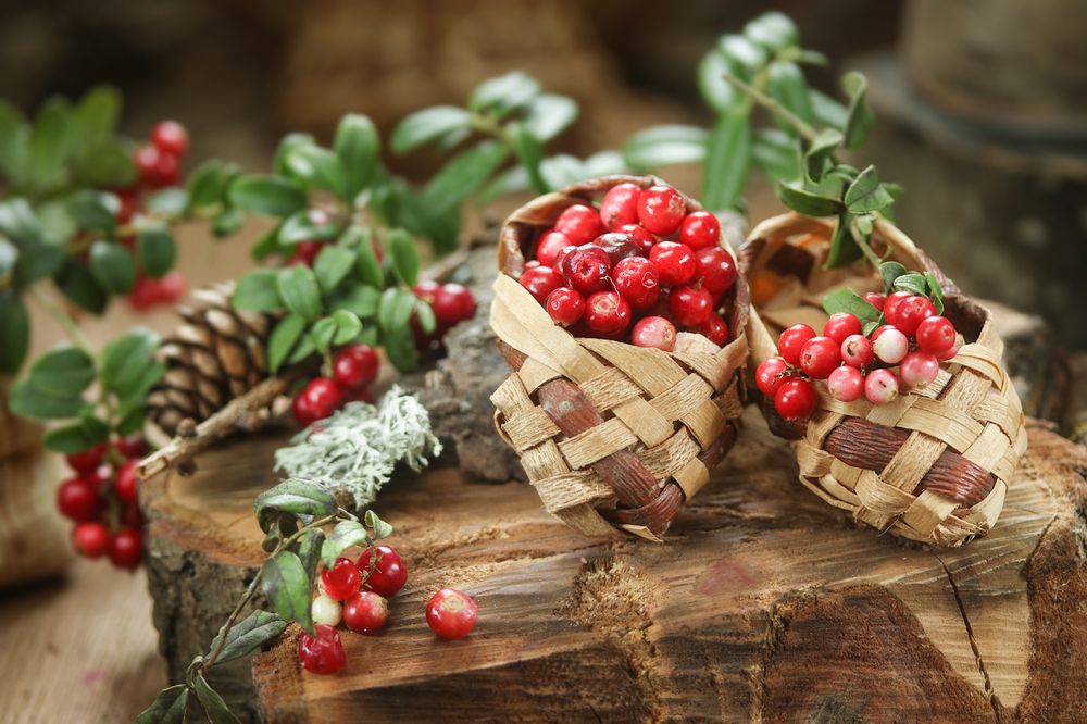 Photograph by Шруб (Беляева) Татьяна