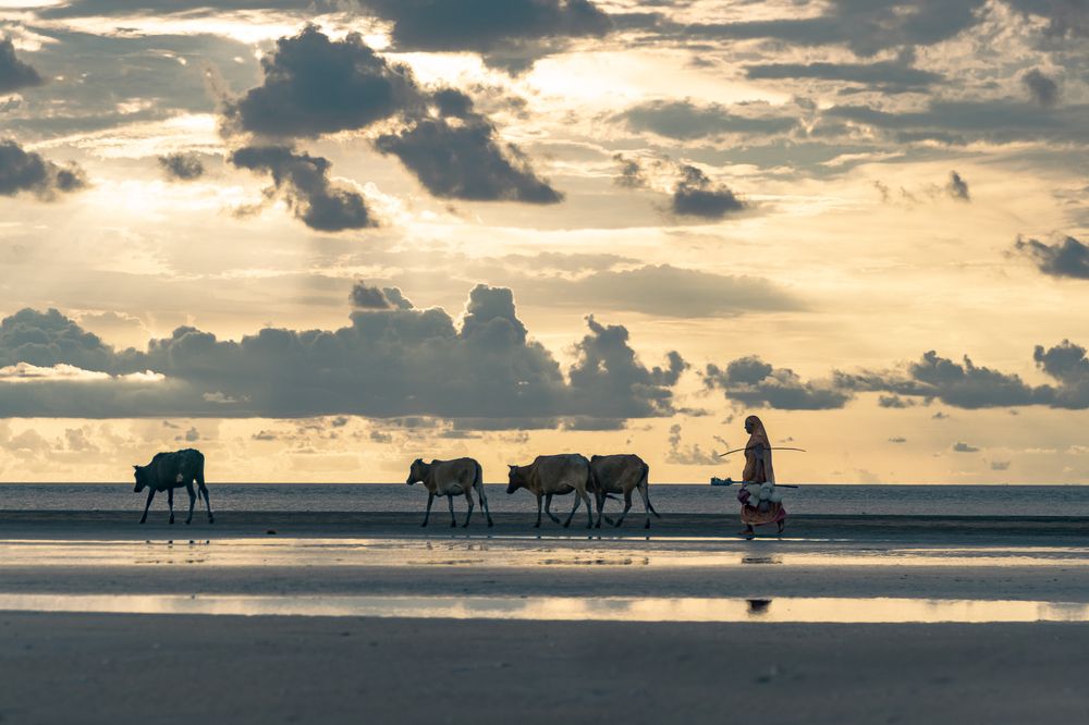 Photograph by Rafsan Islam Nafiz