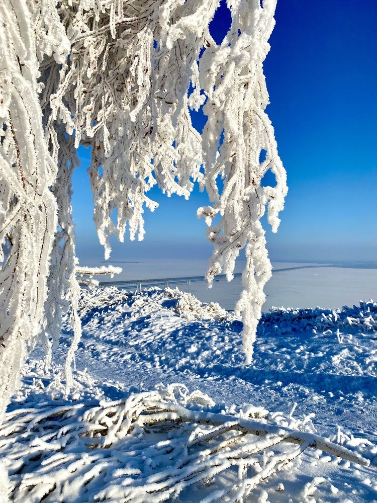 Красивая зима