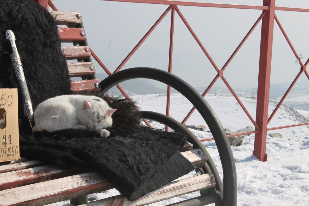 Photograph by Елена Ковальчук