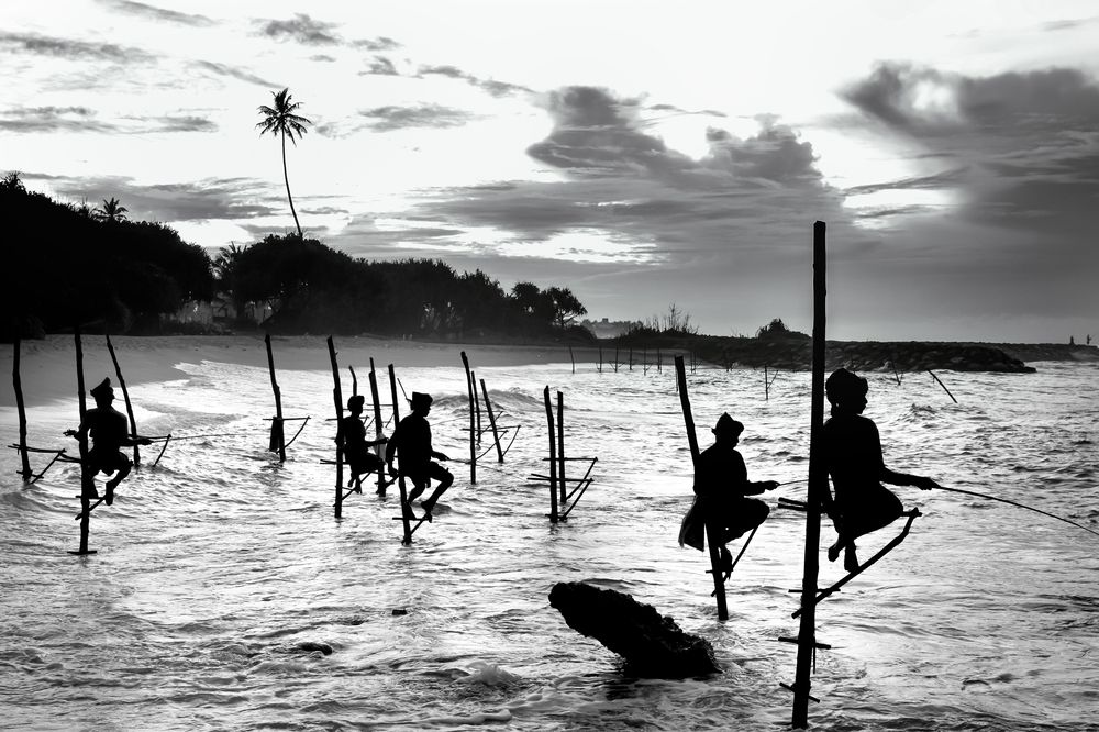 Photograph by Mahlagha Zarabian