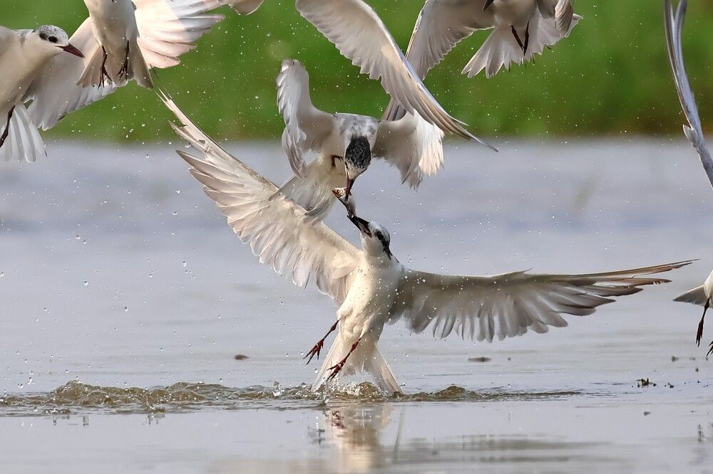 Photograph by AYANENDU DE