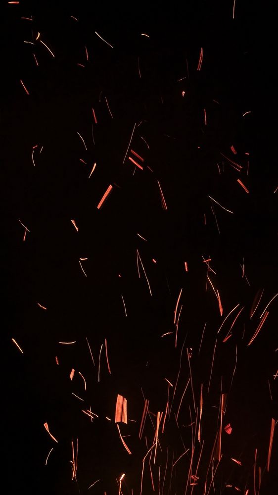 Photograph by Полина Лапкина