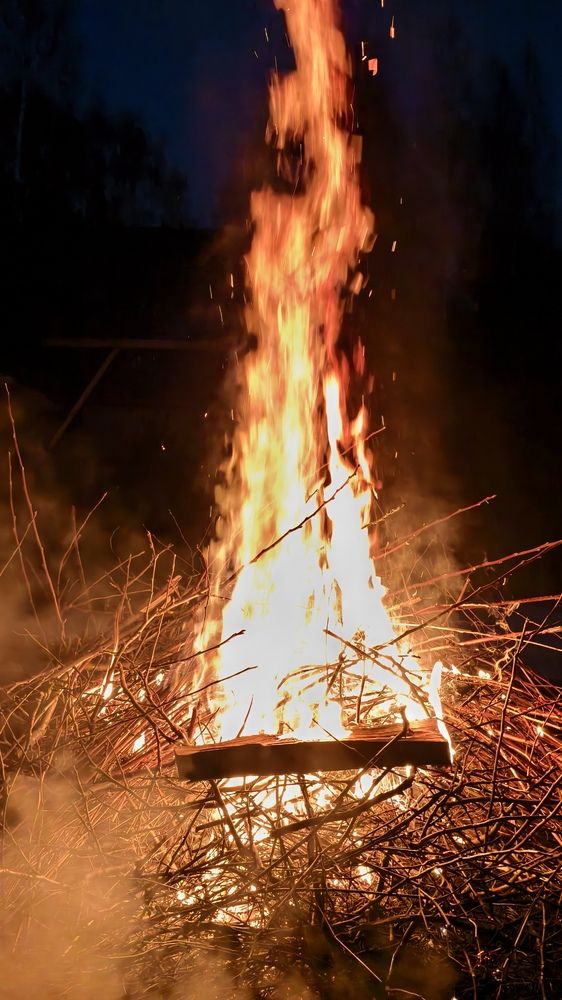 Photograph by Полина Лапкина