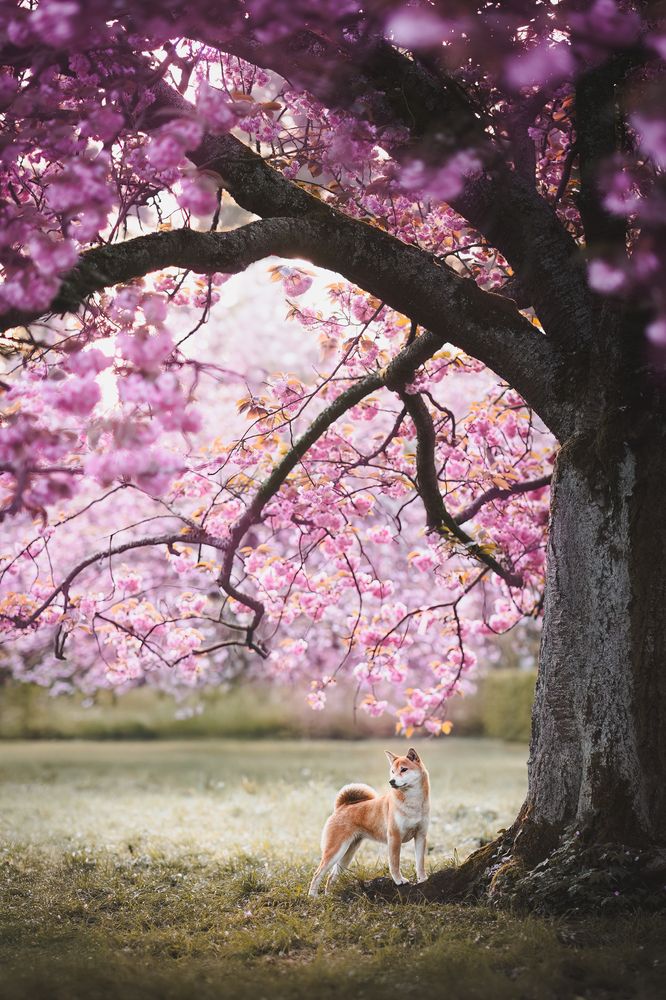 Photograph by GRISELDA FERNANDEZ