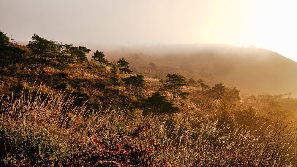 Фотография автора Uesan Aliace