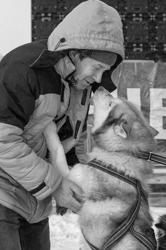 Photograph by Анна Орманжи