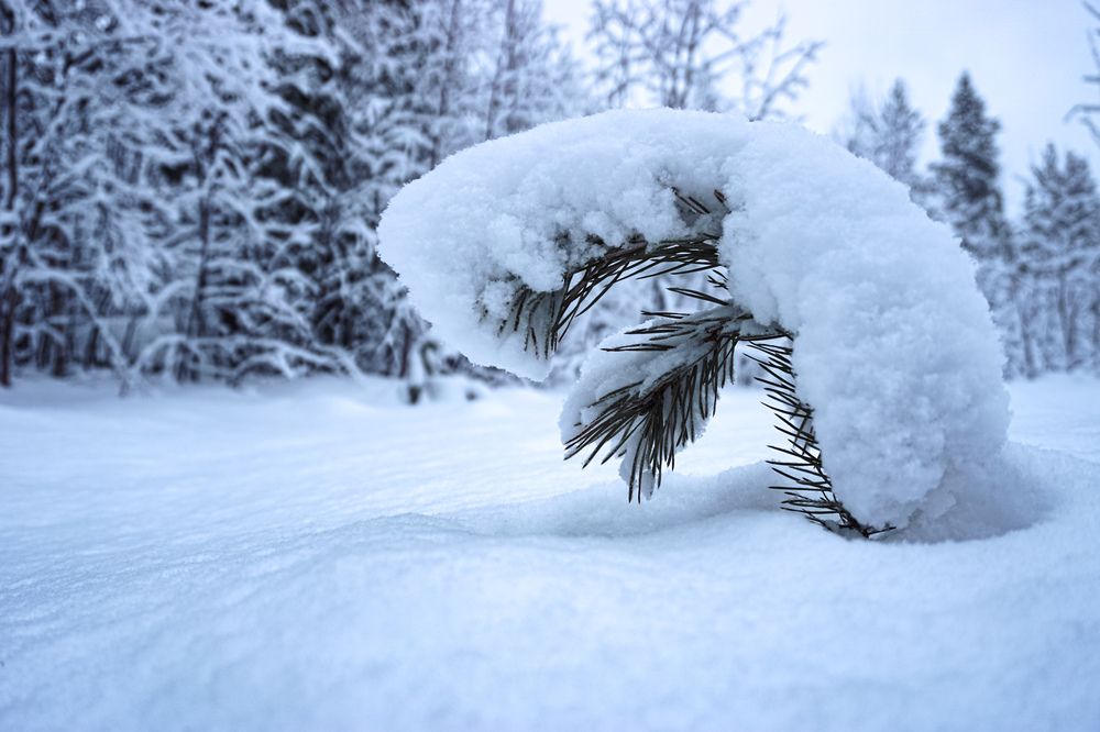 Photograph by Валерий Иванов