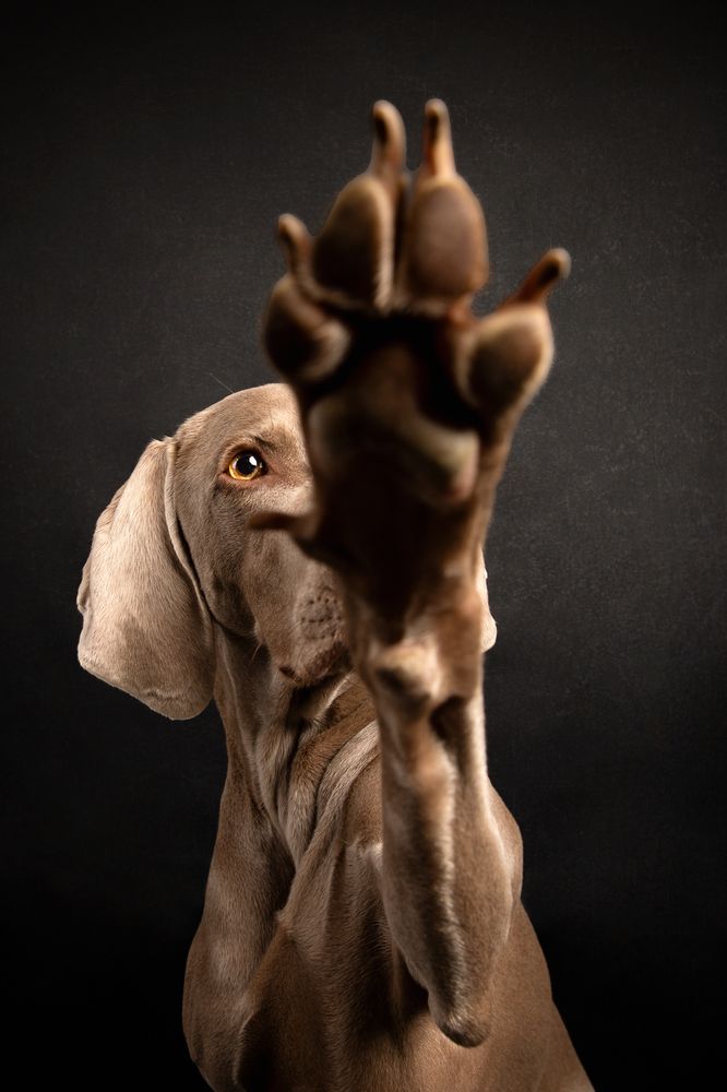 Photograph by Eva Bos