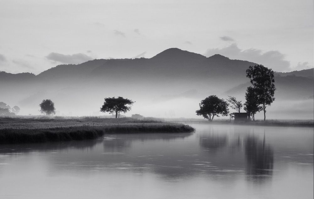 Фотография автора Lien Vu