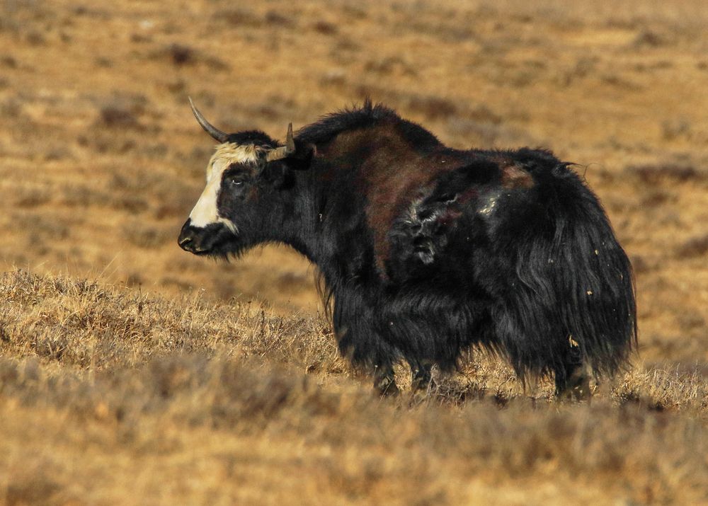 Photograph by Magov Marat