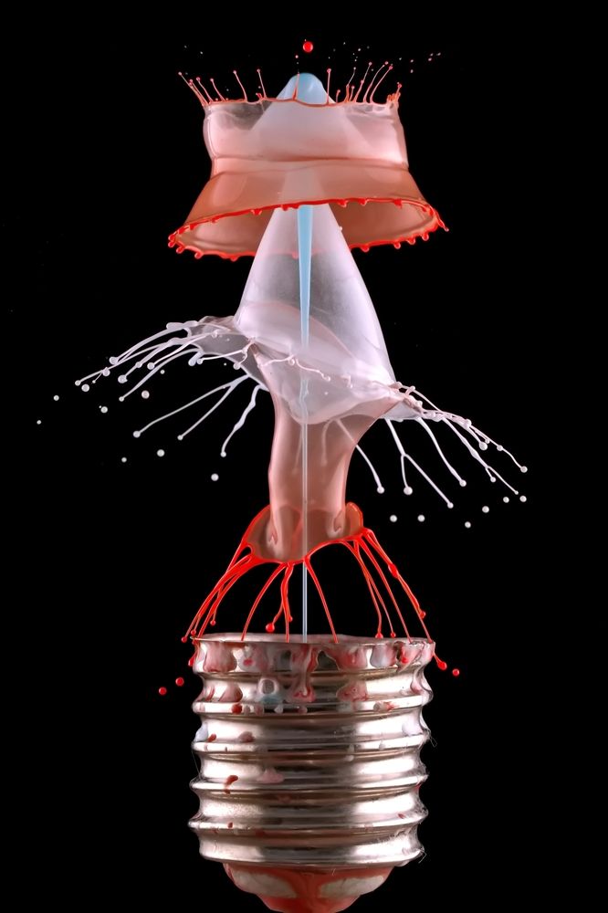 Фотография автора Илан Грабоис