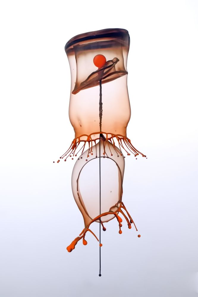 Photograph by Илан Грабоис