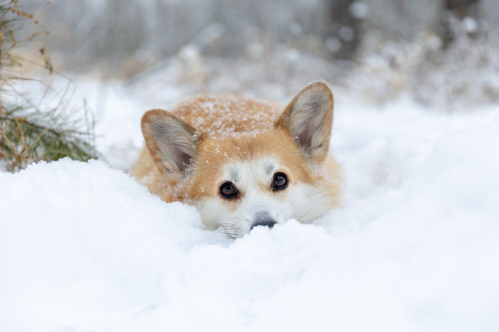 Photograph by Галина Фрайденберг