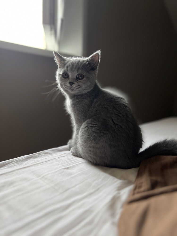 Photograph by Fakhrutdinova Anna