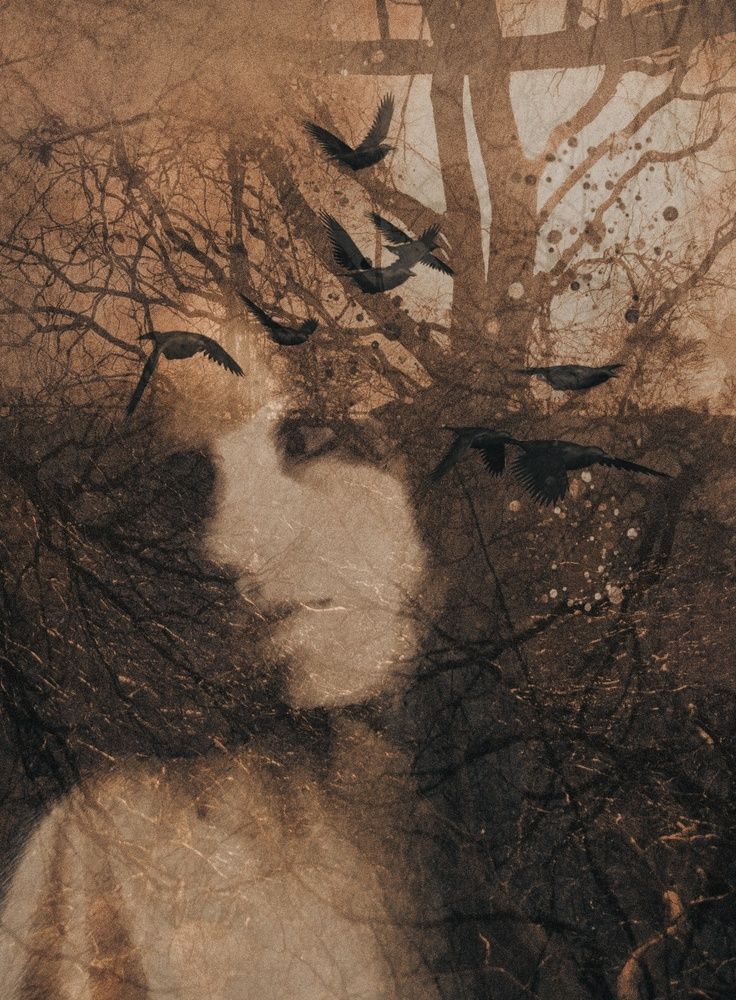 Photograph by Lucia K