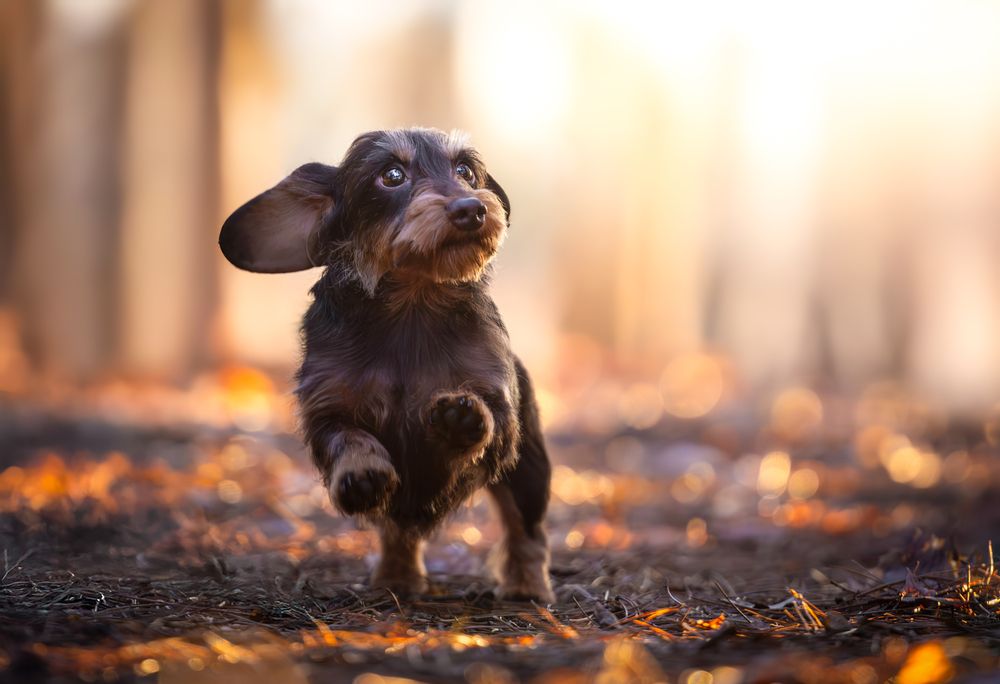 Photograph by Shanna van Mens