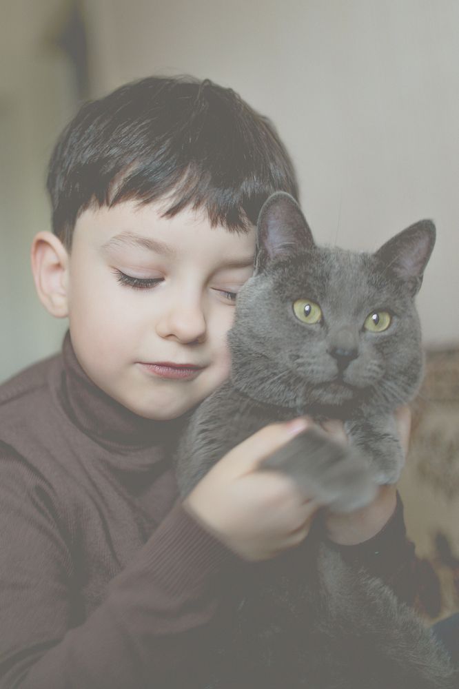 Портрет сына