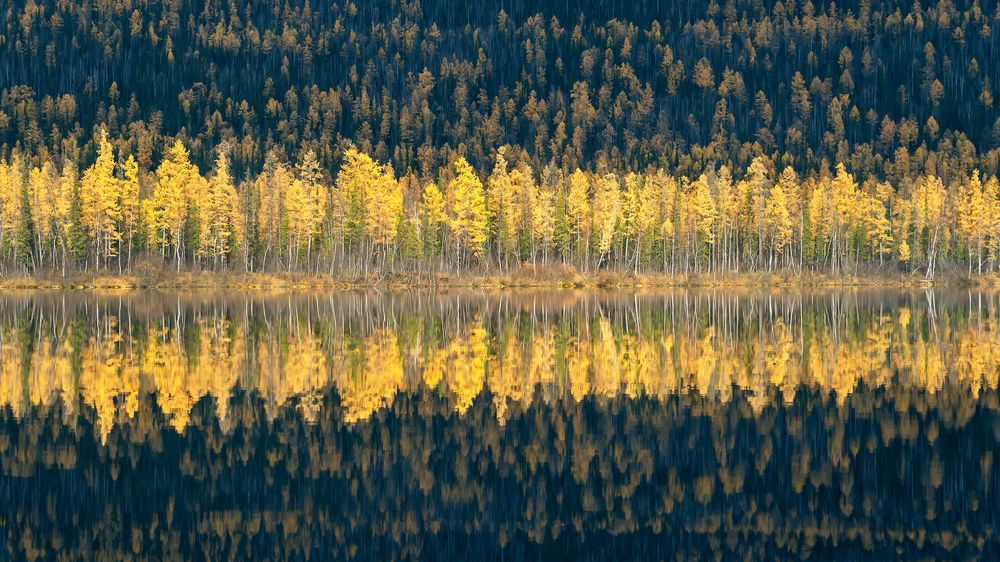 Заполярная осень