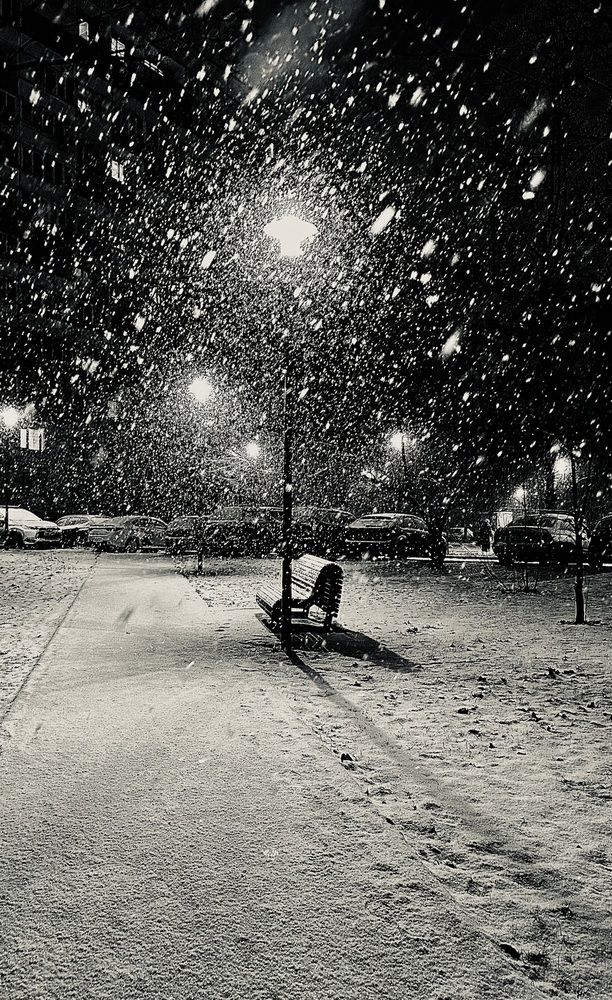 Черно-белая зима