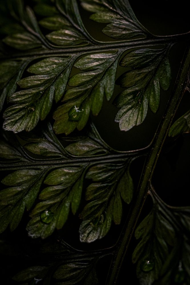 Photograph by Александра Ладыгина