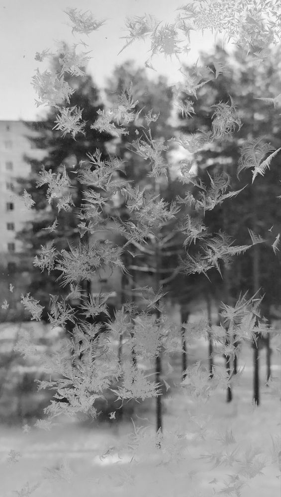 Photograph by Анна