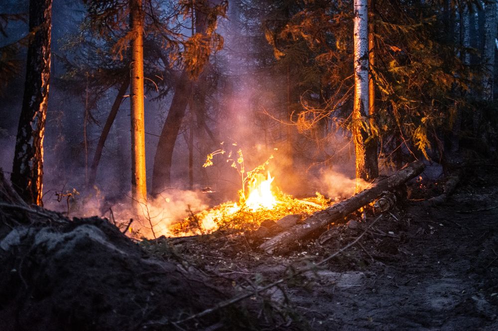 Photograph by Дмитрий Анисимов