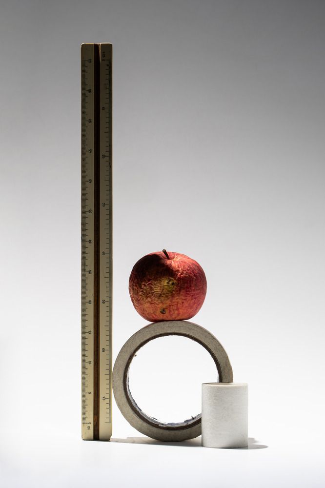 Photograph by Nikita