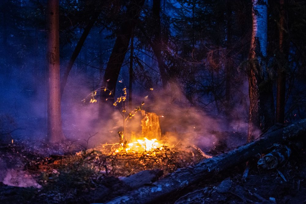 Photograph by Дмитрий Анисимов