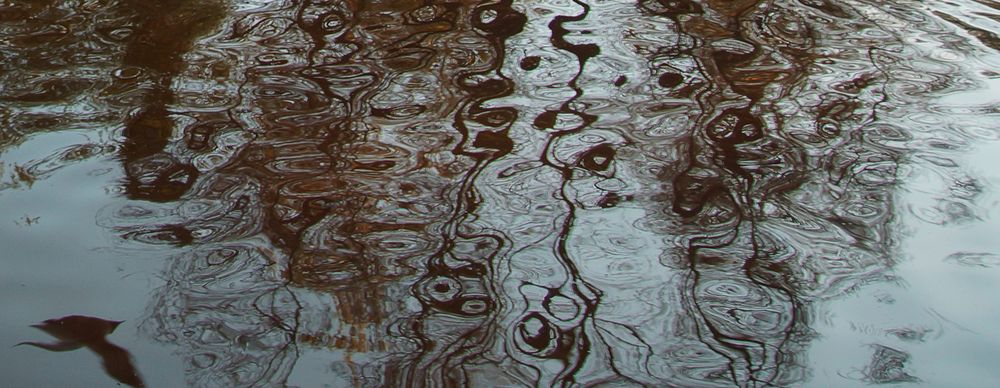 Photograph by Екатерина Сергиенко