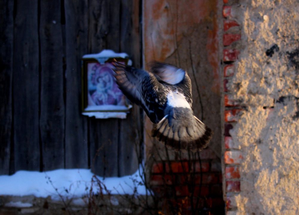 Photograph by Ирина Саттарова