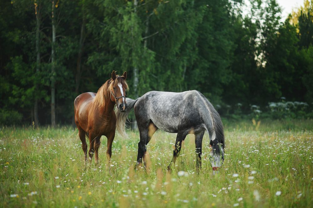 Photograph by Анна Абрамова