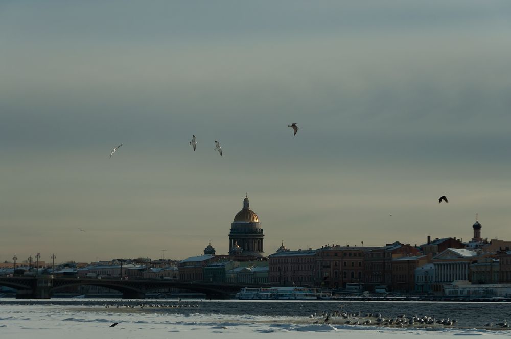 Фотография автора Олег Анатольевич Загорулько