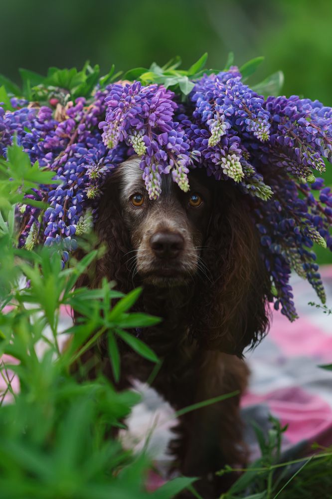 Photograph by Анна Абрамова