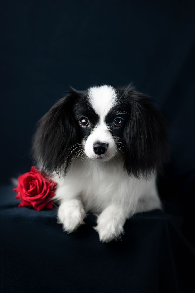 Photograph by Veronika Zatorkina