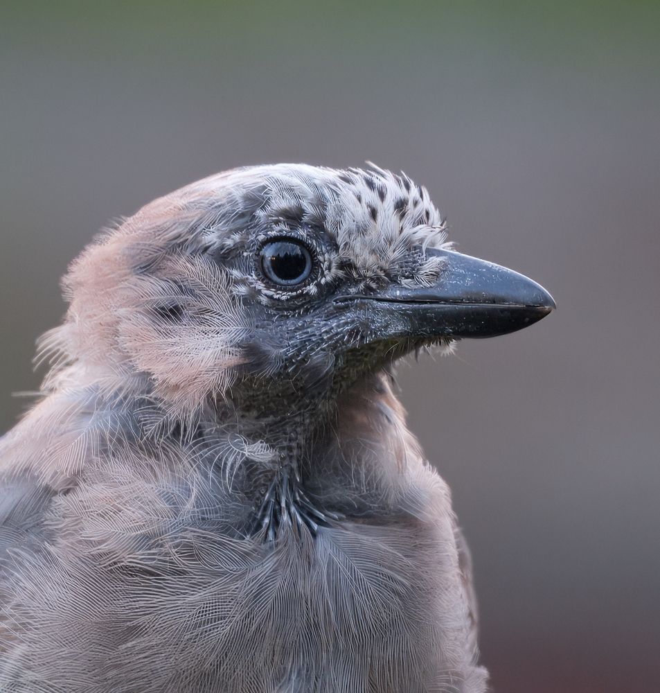 Photograph by Виктор Павлов