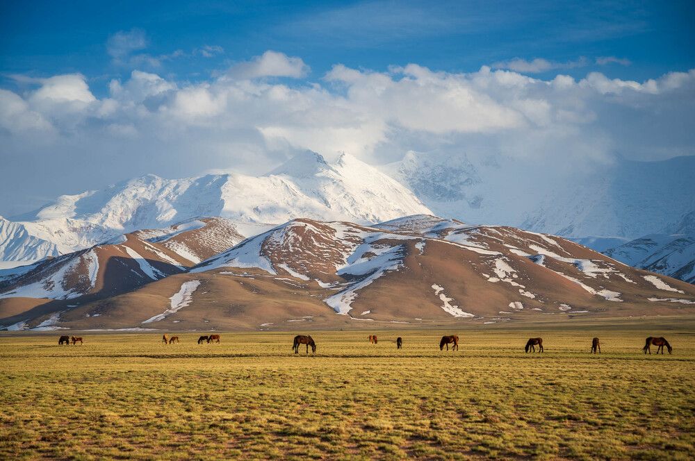 Photograph by Исаков Дмитрий