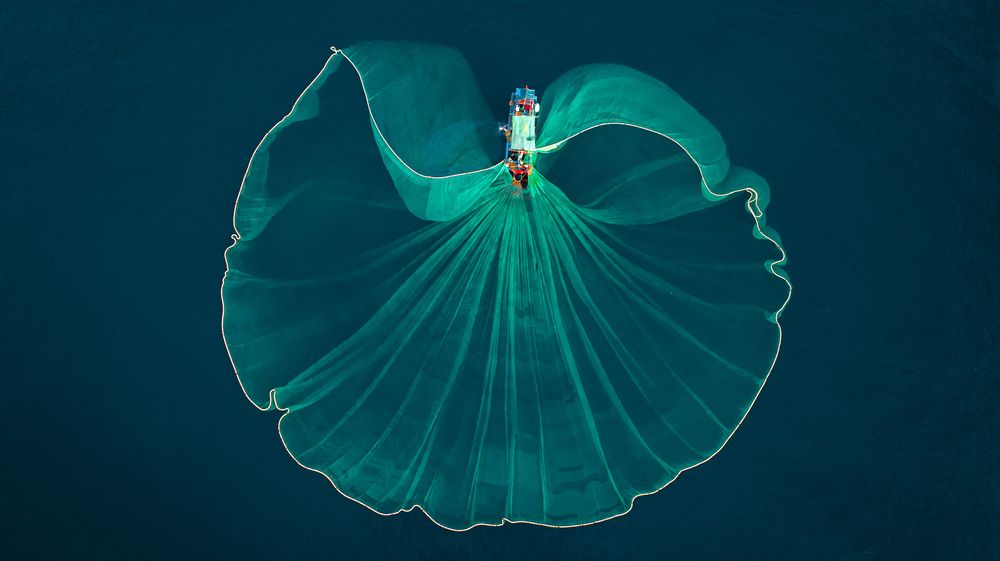 Photograph by Minh Tú Nguyễn