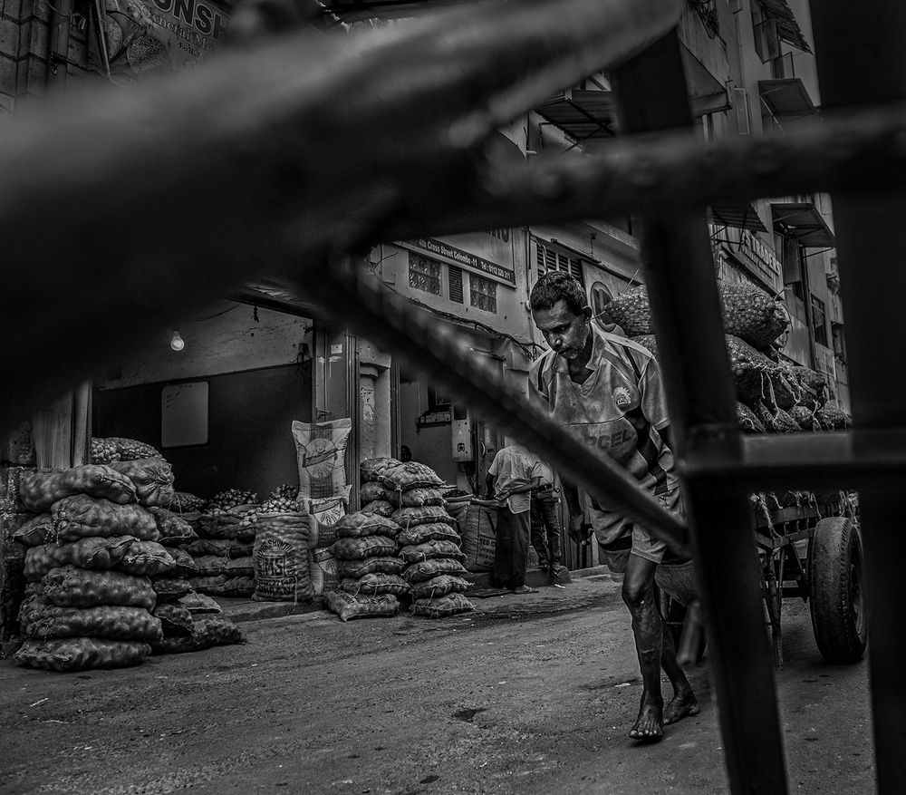 Фотография автора Laddu Sasindu Pramuditha De Silva