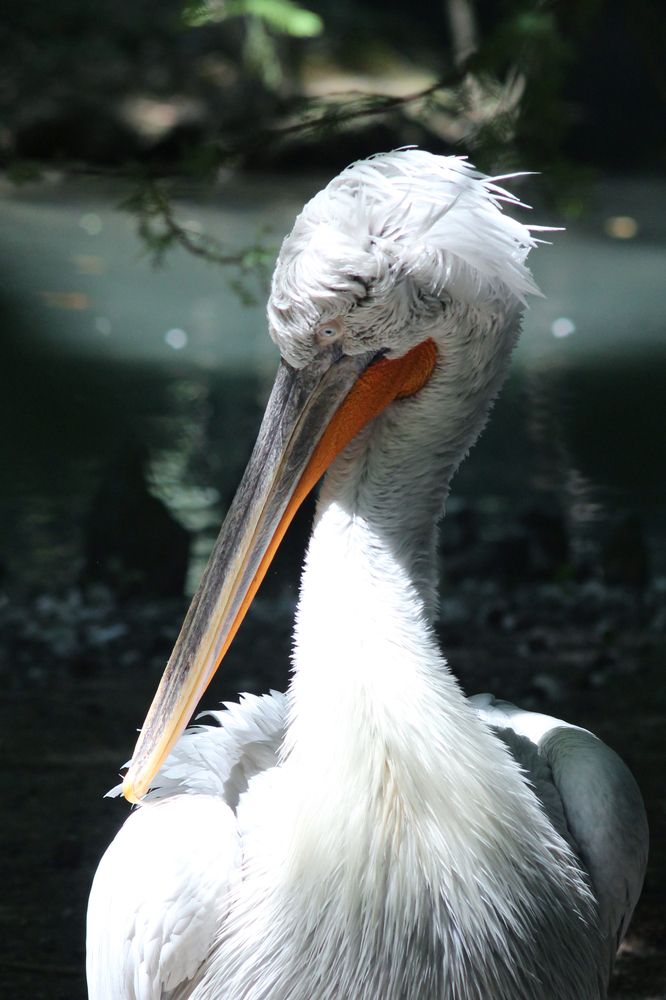 Photograph by Anastasia Kodatenko