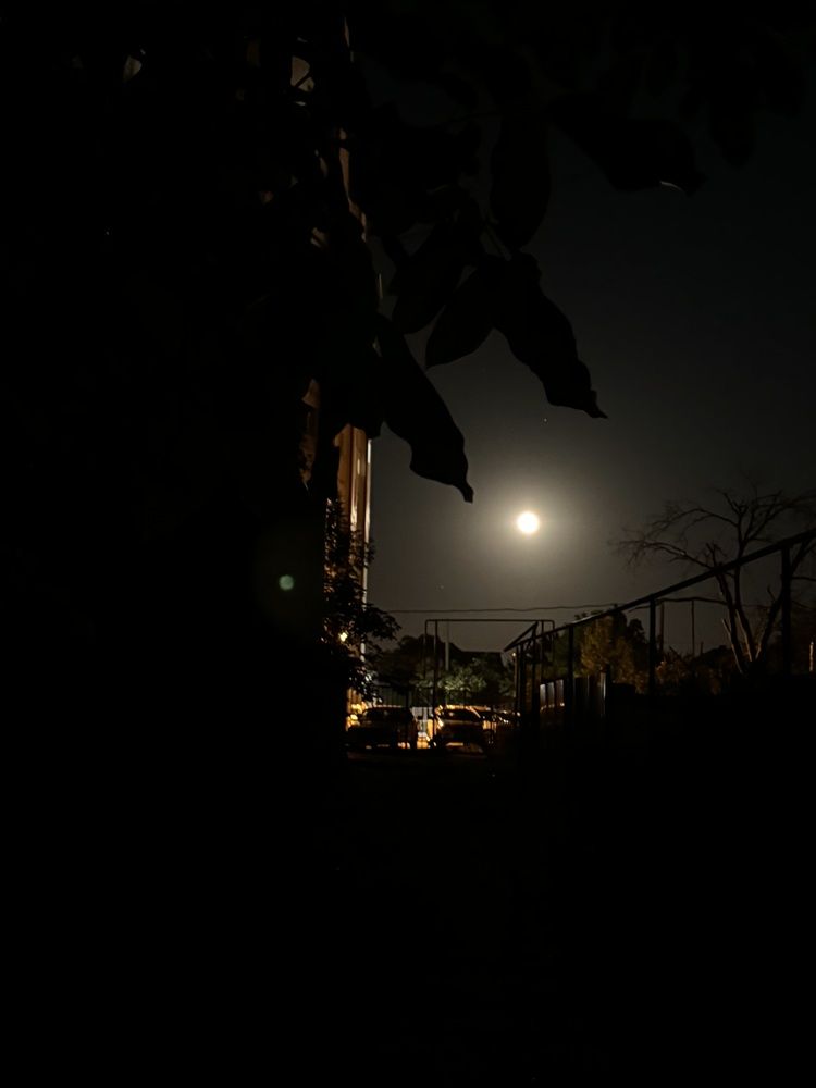 Photograph by Виктория Куликова