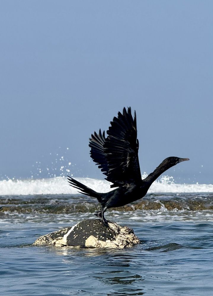 Photograph by Андрей Усачев