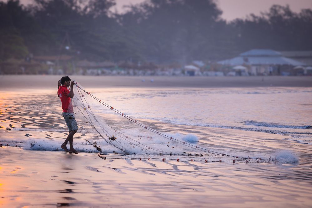 Photograph by Андрей Алпатов