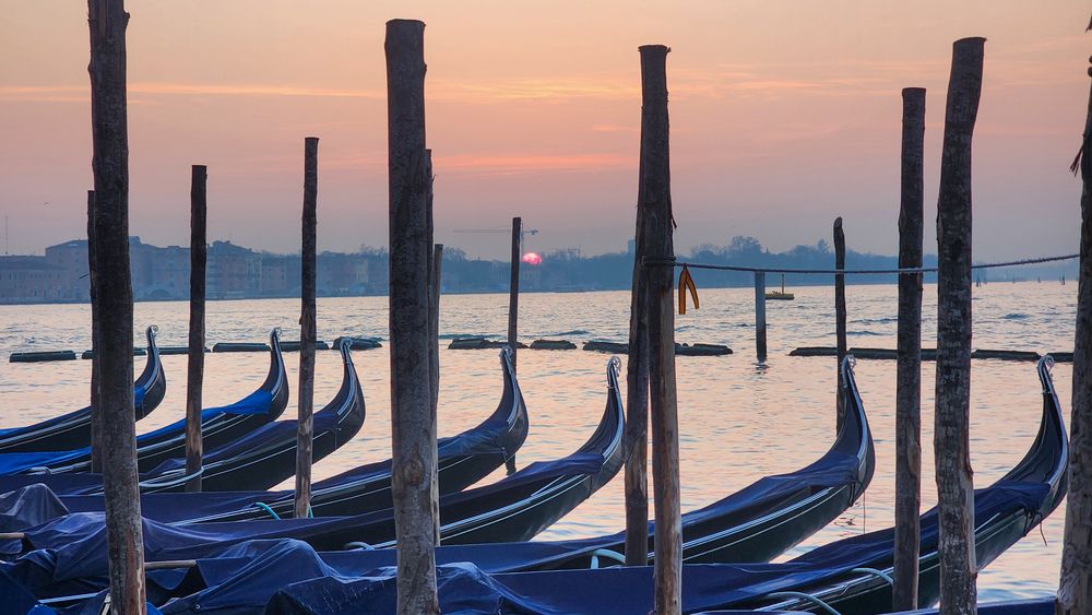 Photograph by esti lahat